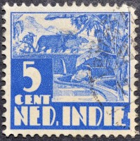 /album/galeria-de-fotos-indias-holandesas/a277-1938-jpg/